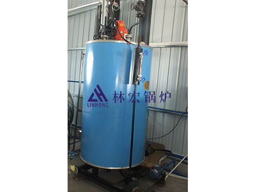 立式燃油氣鍋爐 立式燃油氣鍋爐